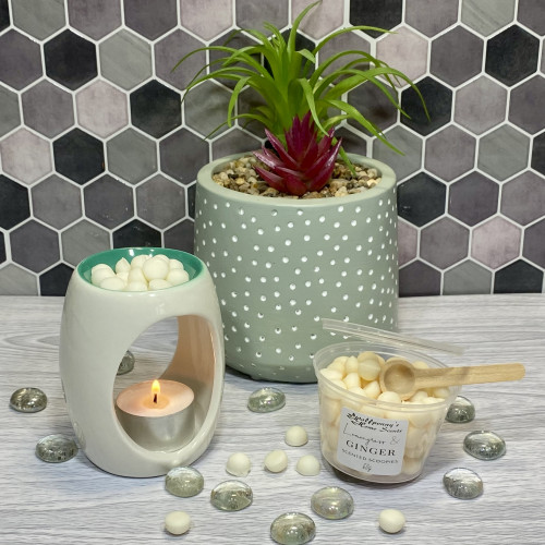 ( Natural ) Lemongrass & Ginger Scoopies